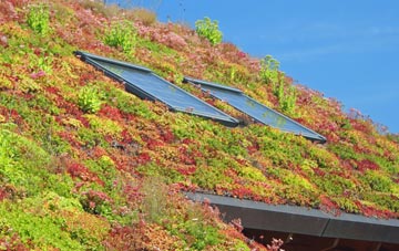 Kesgrave living roof systems