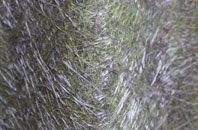 Kesgrave fibreglass roof work